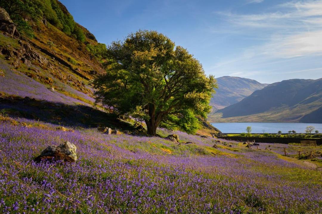 Lodge By The Lake - Lake District - Hot Tub Bassenthwaite Eksteriør bilde